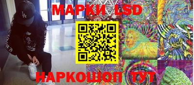 СК Новокубанск