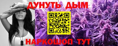 дмт Новодвинск